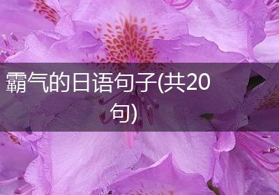 霸气的日语句子(共20句)