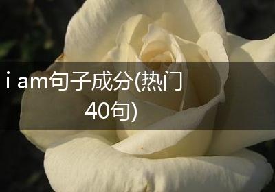 i am句子成分(热门40句)