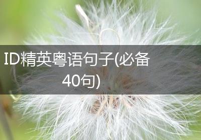 ID精英粤语句子(必备40句)