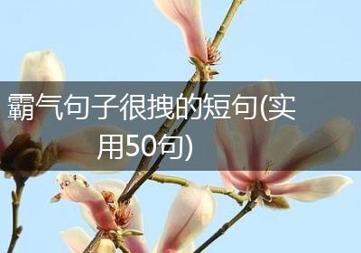 霸气句子很拽的短句(实用50句)