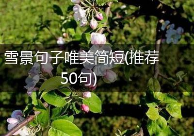 雪景句子唯美简短(推荐50句)