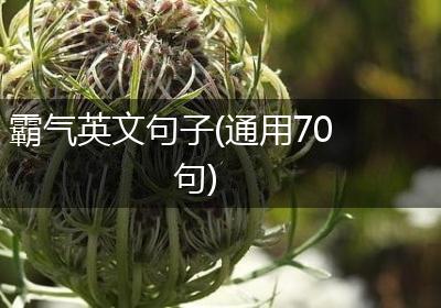 霸气英文句子(通用70句)