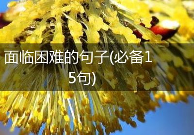 面临困难的句子(必备15句)