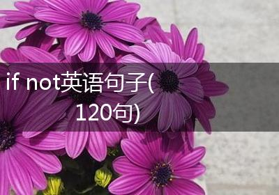 if not英语句子(120句)