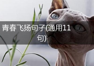 青春飞扬句子(通用11句)