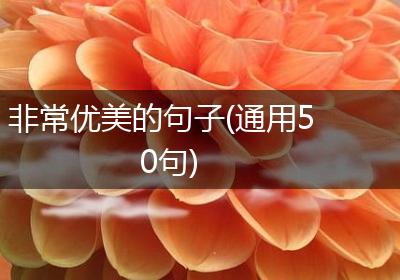非常优美的句子(通用50句)