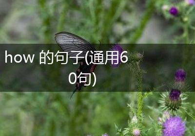 how 的句子(通用60句)