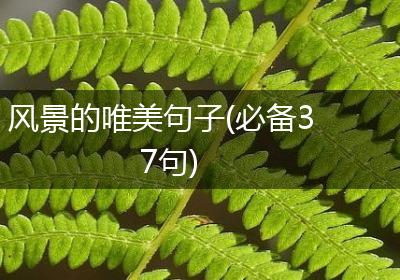 风景的唯美句子(必备37句)