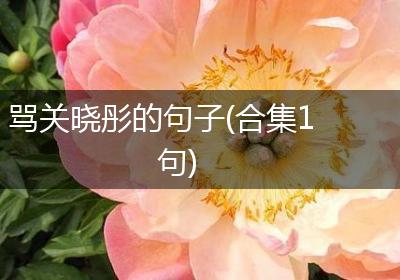 骂关晓彤的句子(合集1句)