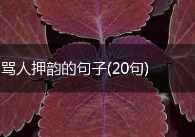 骂人押韵的句子(20句)