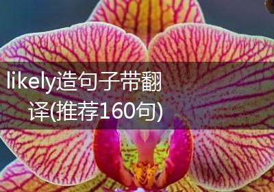 likely造句子带翻译(推荐160句)