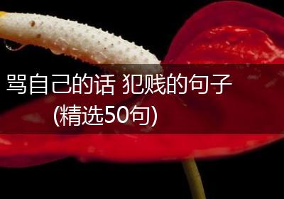 骂自己的话 犯贱的句子(精选50句)