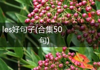 les好句子(合集50句)