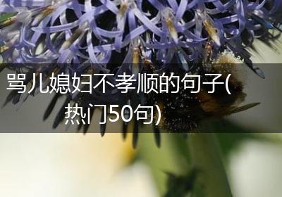 骂儿媳妇不孝顺的句子(热门50句)