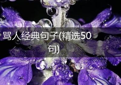 骂人经典句子(精选50句)