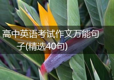 高中英语考试作文万能句子(精选40句)