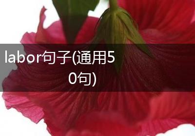 labor句子(通用50句)