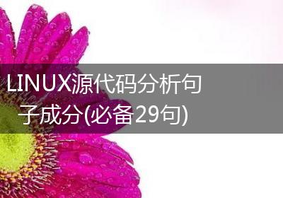 LINUX源代码分析句子成分(必备29句)