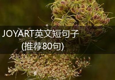JOYART英文短句子(推荐80句)