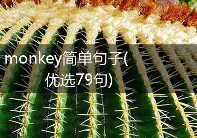 monkey简单句子(优选79句)