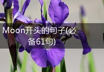 Moon开头的句子(必备61句)