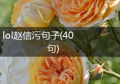 lol赵信污句子(40句)