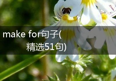 make for句子(精选51句)
