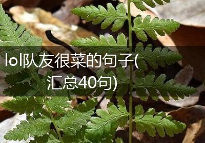 lol队友很菜的句子(汇总40句)