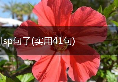 lsp句子(实用41句)