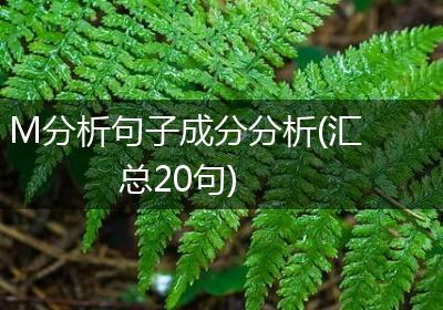 M分析句子成分分析(汇总20句)