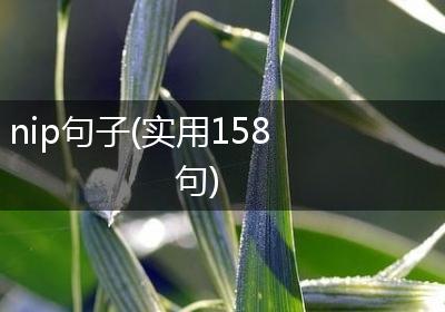 nip句子(实用158句)