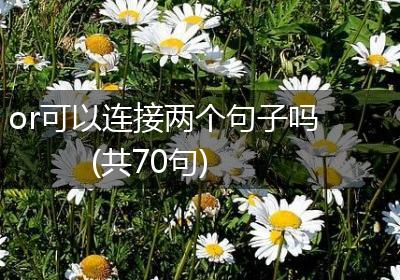 or可以连接两个句子吗(共70句)