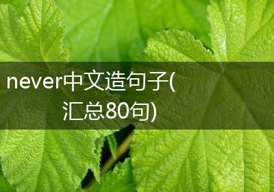 never中文造句子(汇总80句)