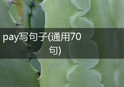 pay写句子(通用70句)