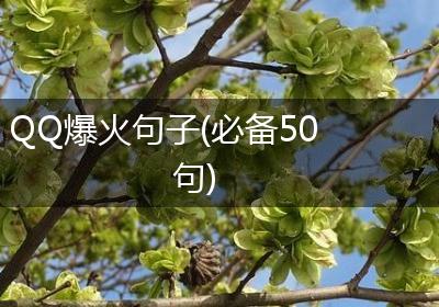 QQ爆火句子(必备50句)