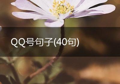 QQ号句子(40句)