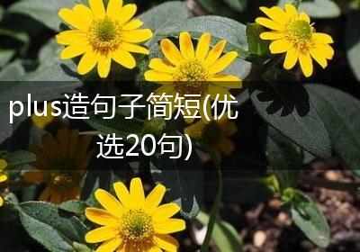 plus造句子简短(优选20句)