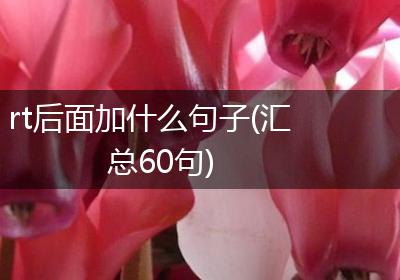 rt后面加什么句子(汇总60句)