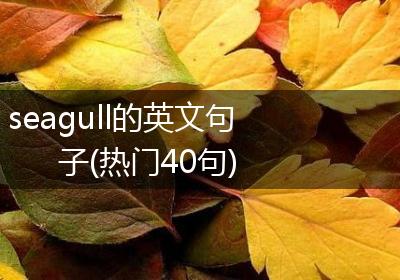 seagull的英文句子(热门40句)