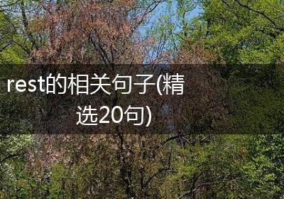 rest的相关句子(精选20句)