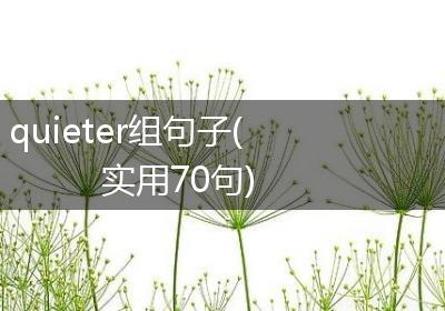 quieter组句子(实用70句)