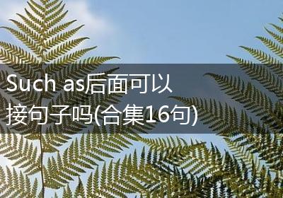 Such as后面可以接句子吗(合集16句)