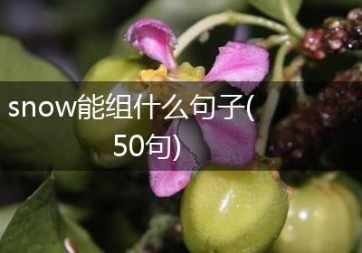 snow能组什么句子(50句)