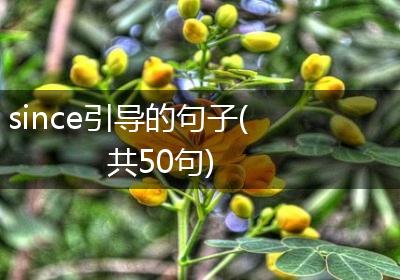 since引导的句子(共50句)