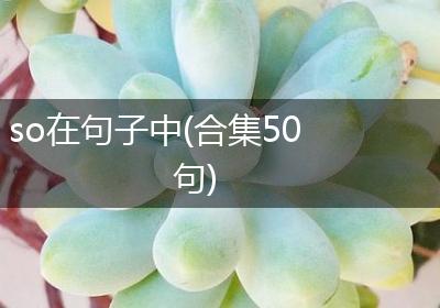 so在句子中(合集50句)