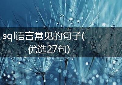 sql语言常见的句子(优选27句)