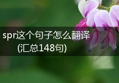 spr这个句子怎么翻译(汇总148句)