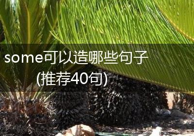some可以造哪些句子(推荐40句)
