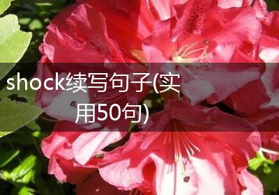 shock续写句子(实用50句)