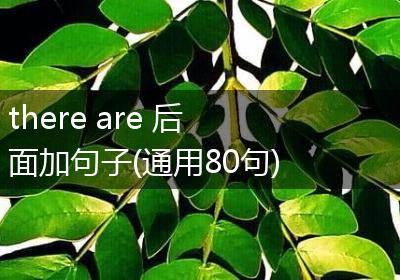 there are 后面加句子(通用80句)
